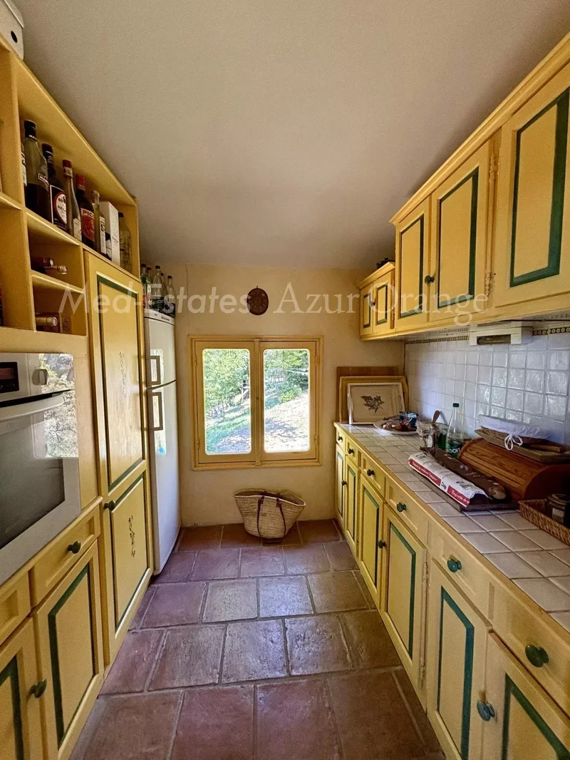 La Garde-Freinet, Provence-Alpes-Côte d'Azur, France. - Photo 15