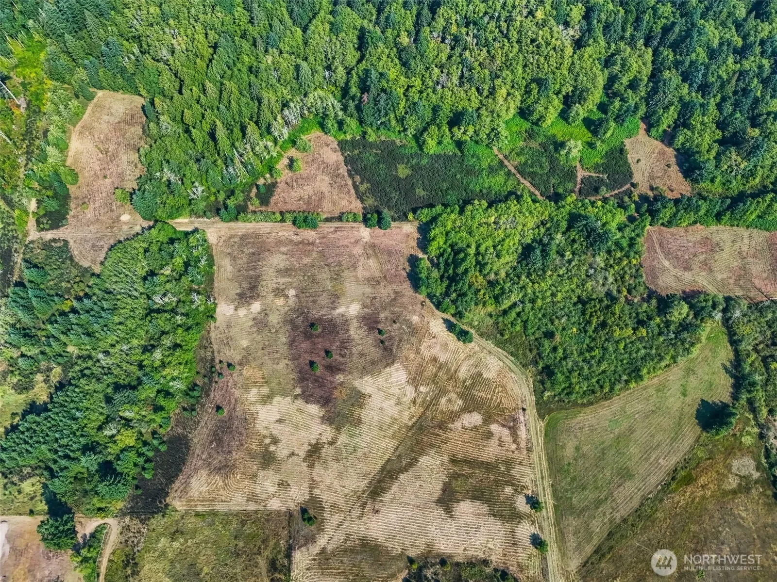 104 Bills Lane, Onalaska, WA 98570, Onalaska, Washington, United States. - Photo 33