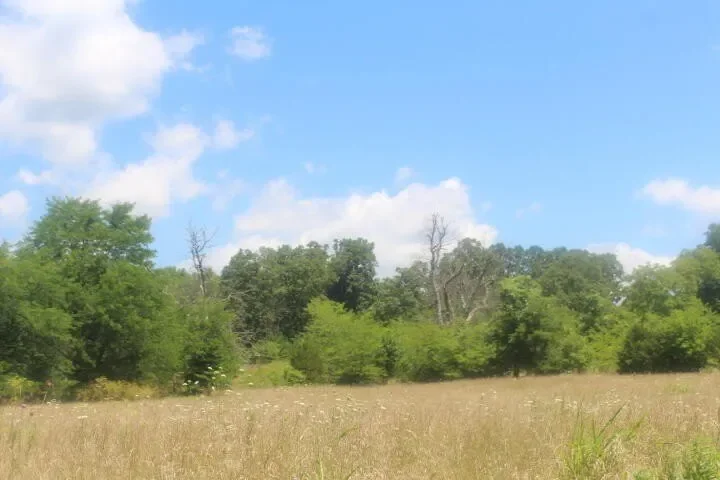 3176 S 170th Road, Polk, MO 65727, Bolivar, Missouri, United States. - Photo 70