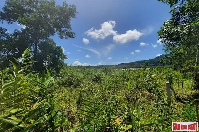 Prime Land Plot Near Main Phuket Road for Sale in Thalang