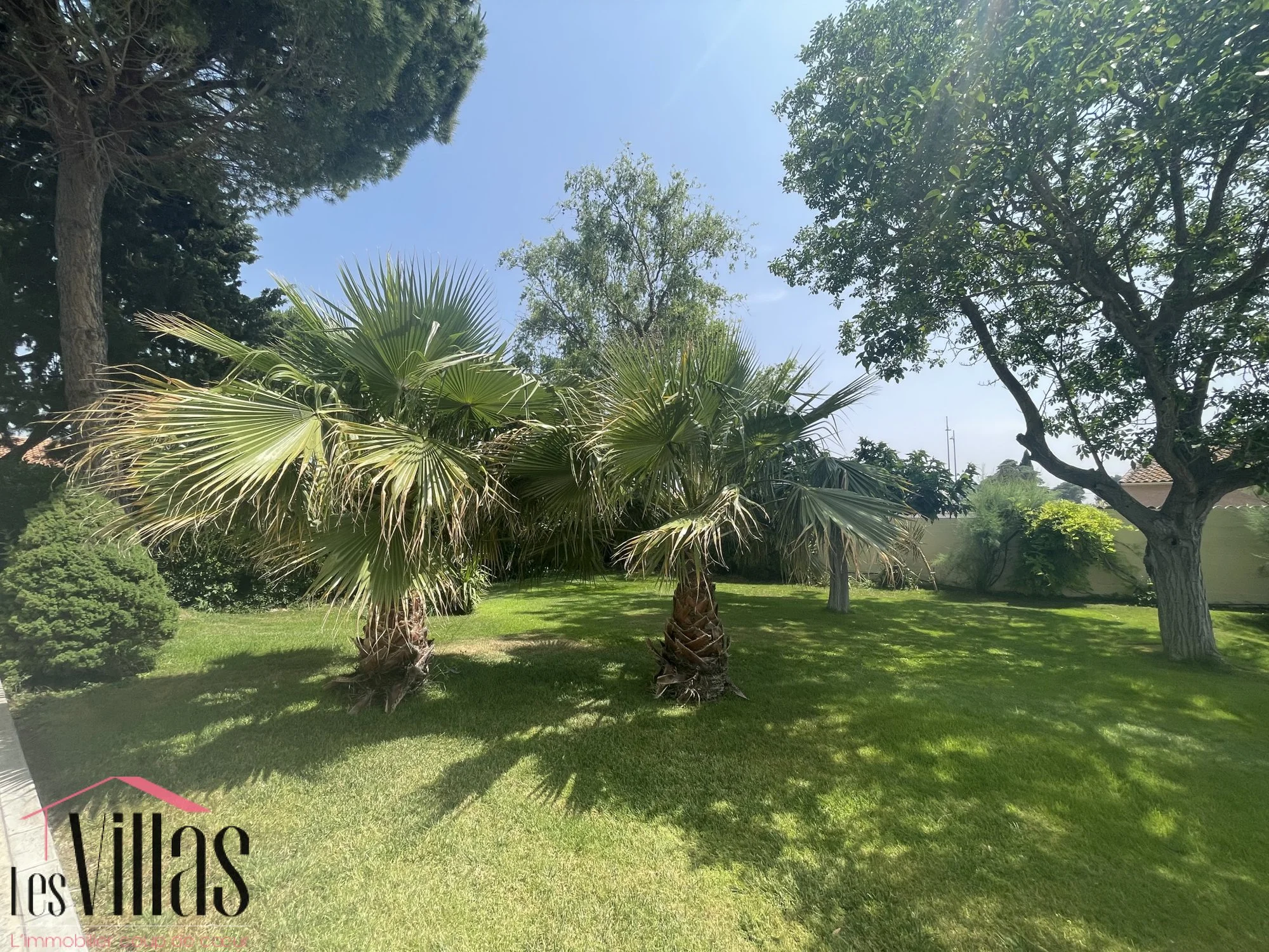 Montady, Occitanie, France. - Photo 16