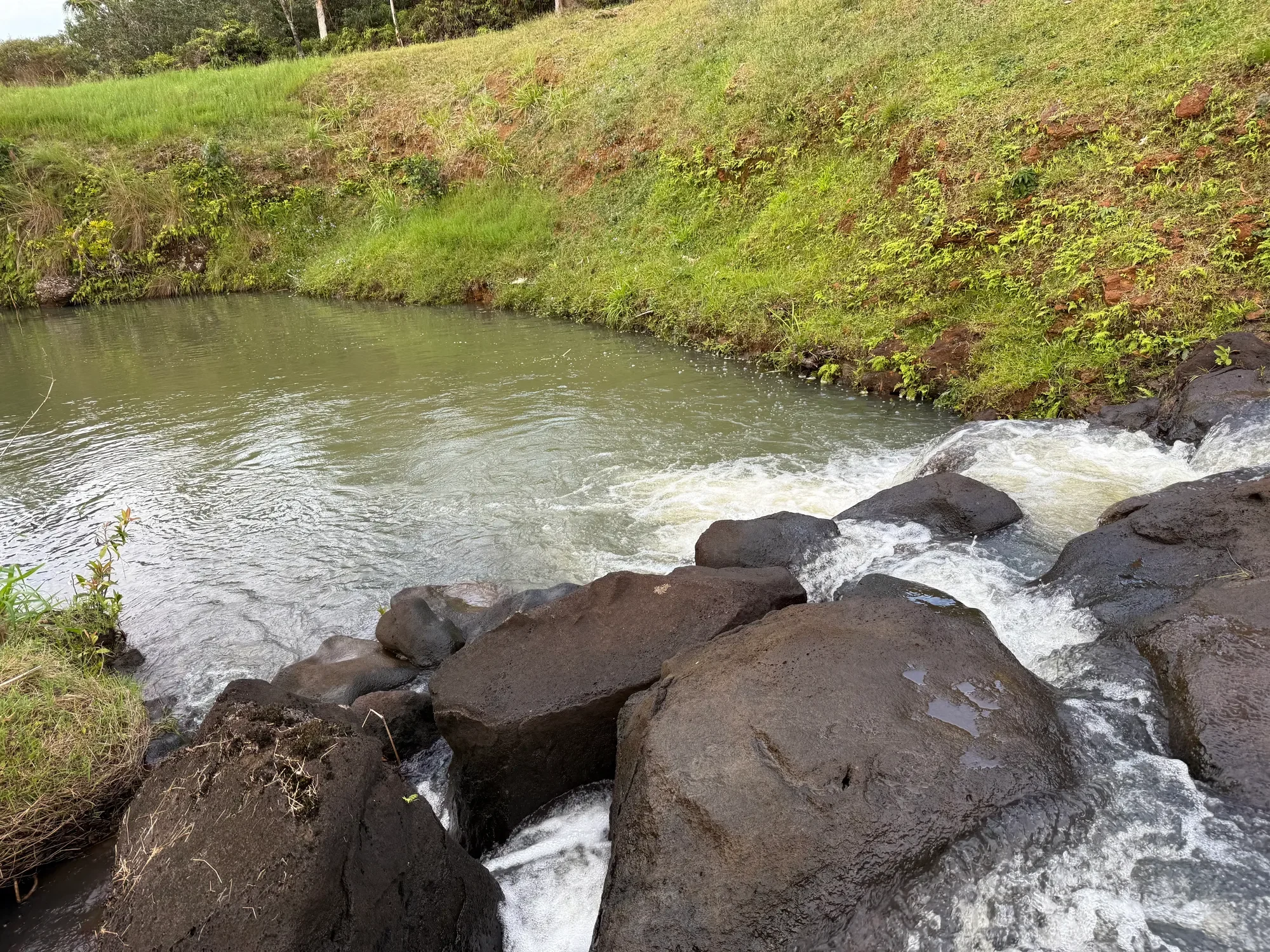 2818 KAMOOKOA RD, #5, Kilauea, HI, 96722, USA, Kilauea, Hawaii, United States. - Photo 12