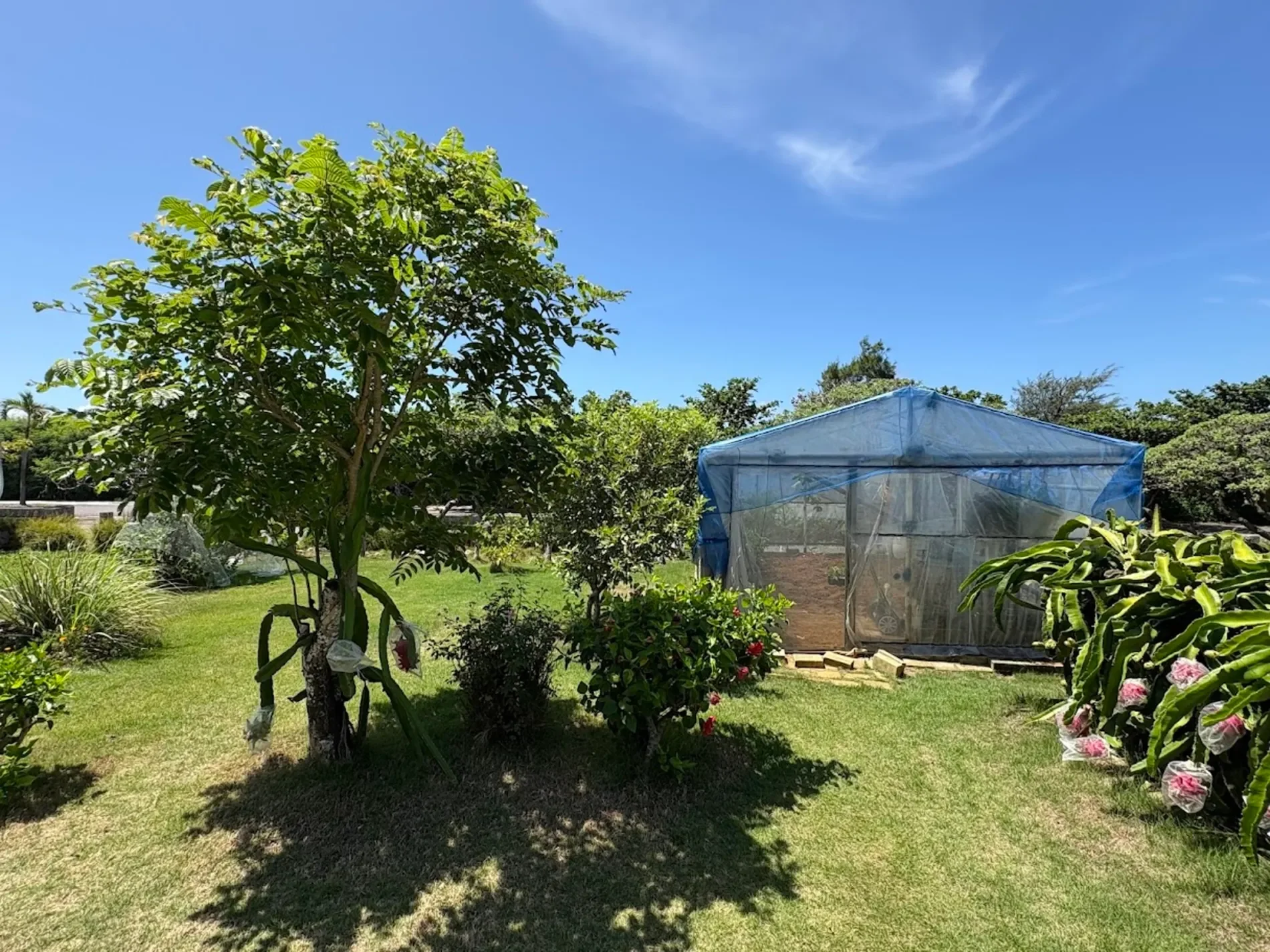 Exterior photo 3