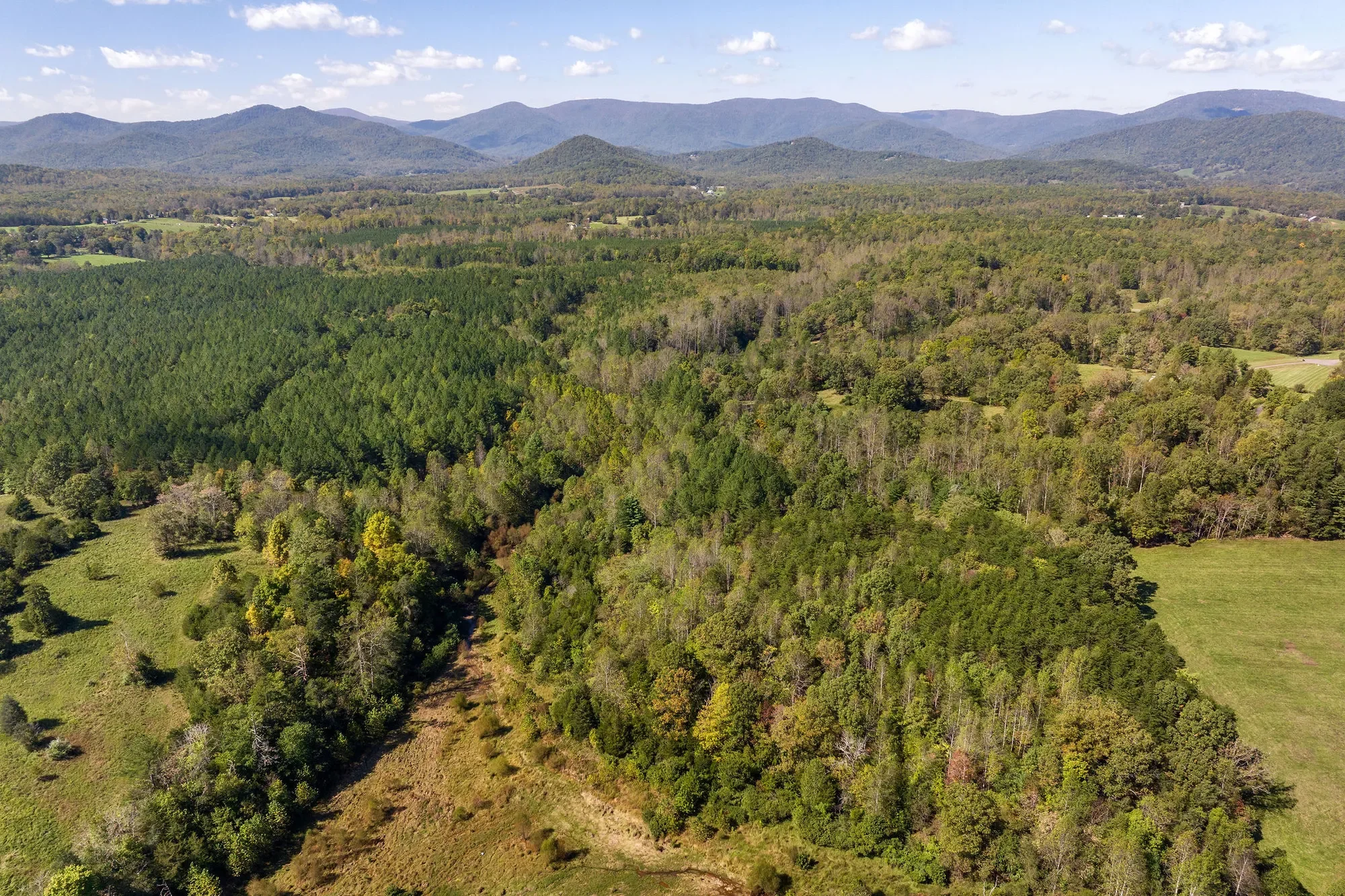 955 Simmons Gap Rd, Dyke, VA 22935, Dyke, Virginia, United States. - Photo 8