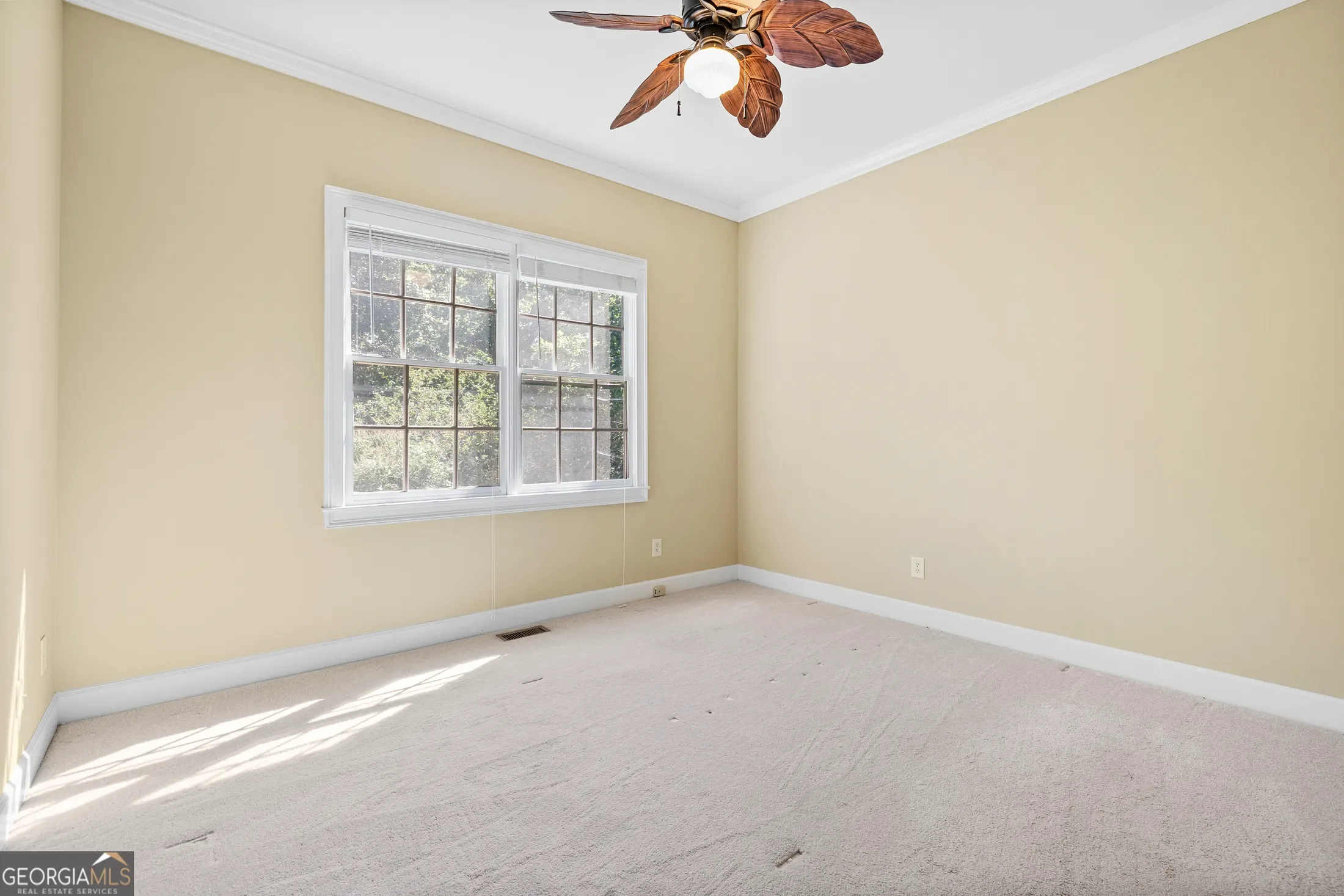 Dacula, Georgia, United States. - Photo 22