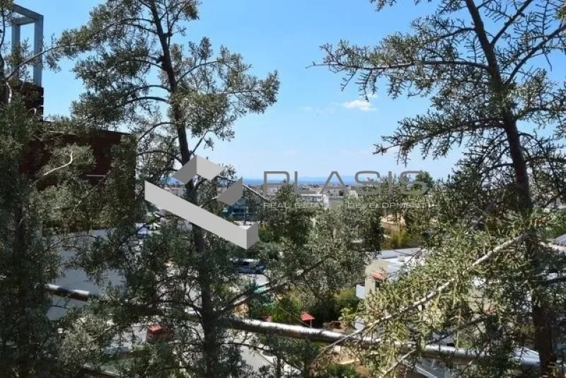 Gallery photo 10