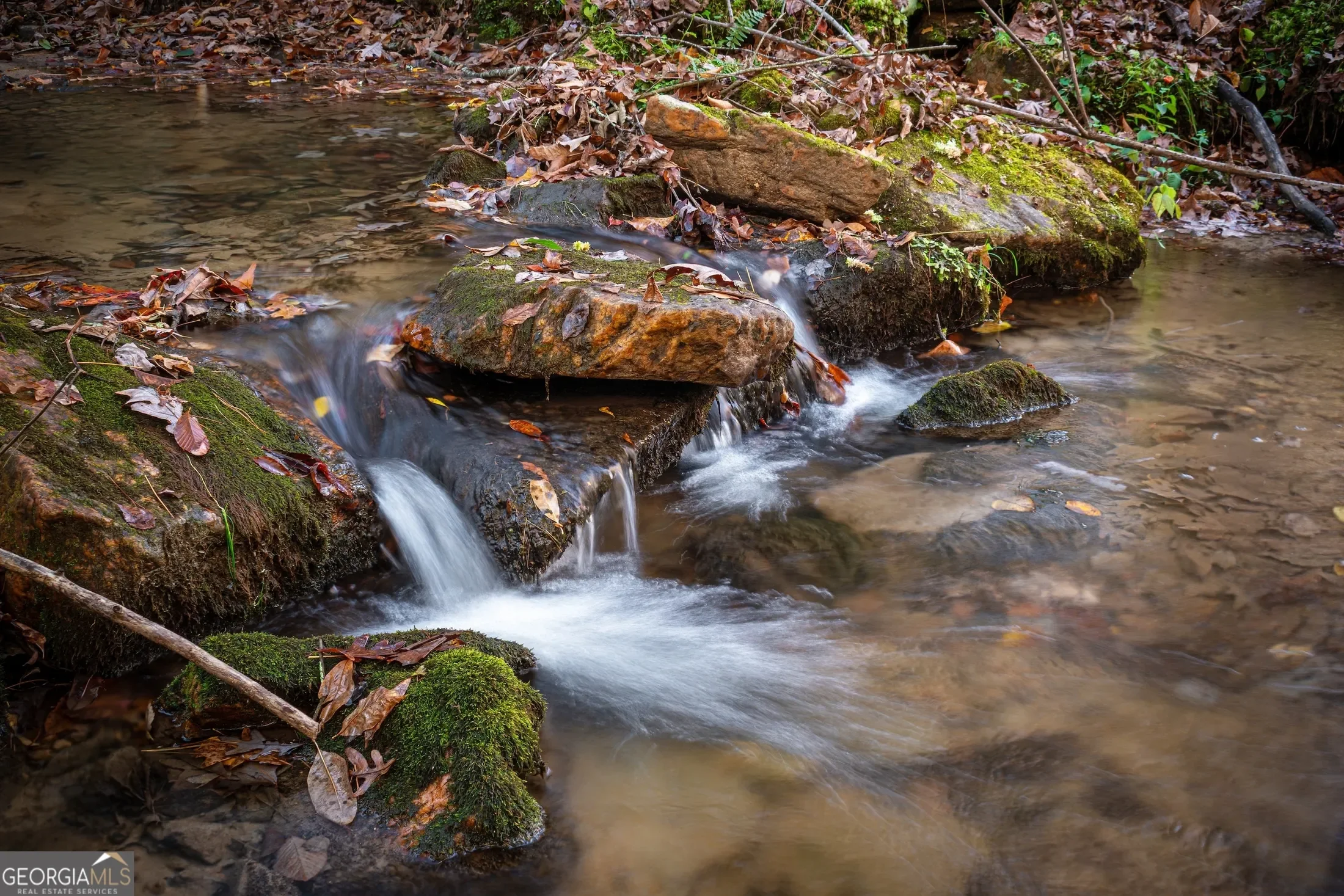 339 Wehunt RD, Blue Ridge, Georgia, United States. - Photo 3