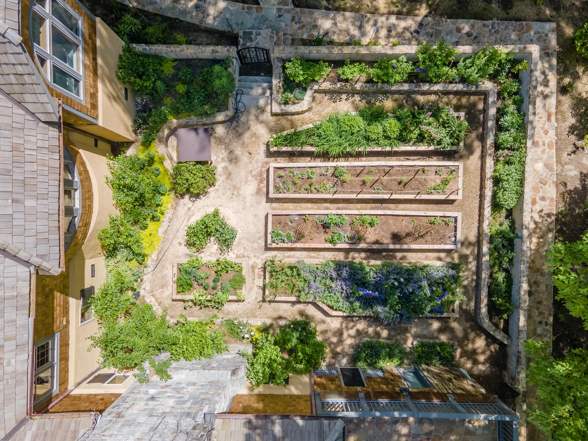 Gallery photo 4
