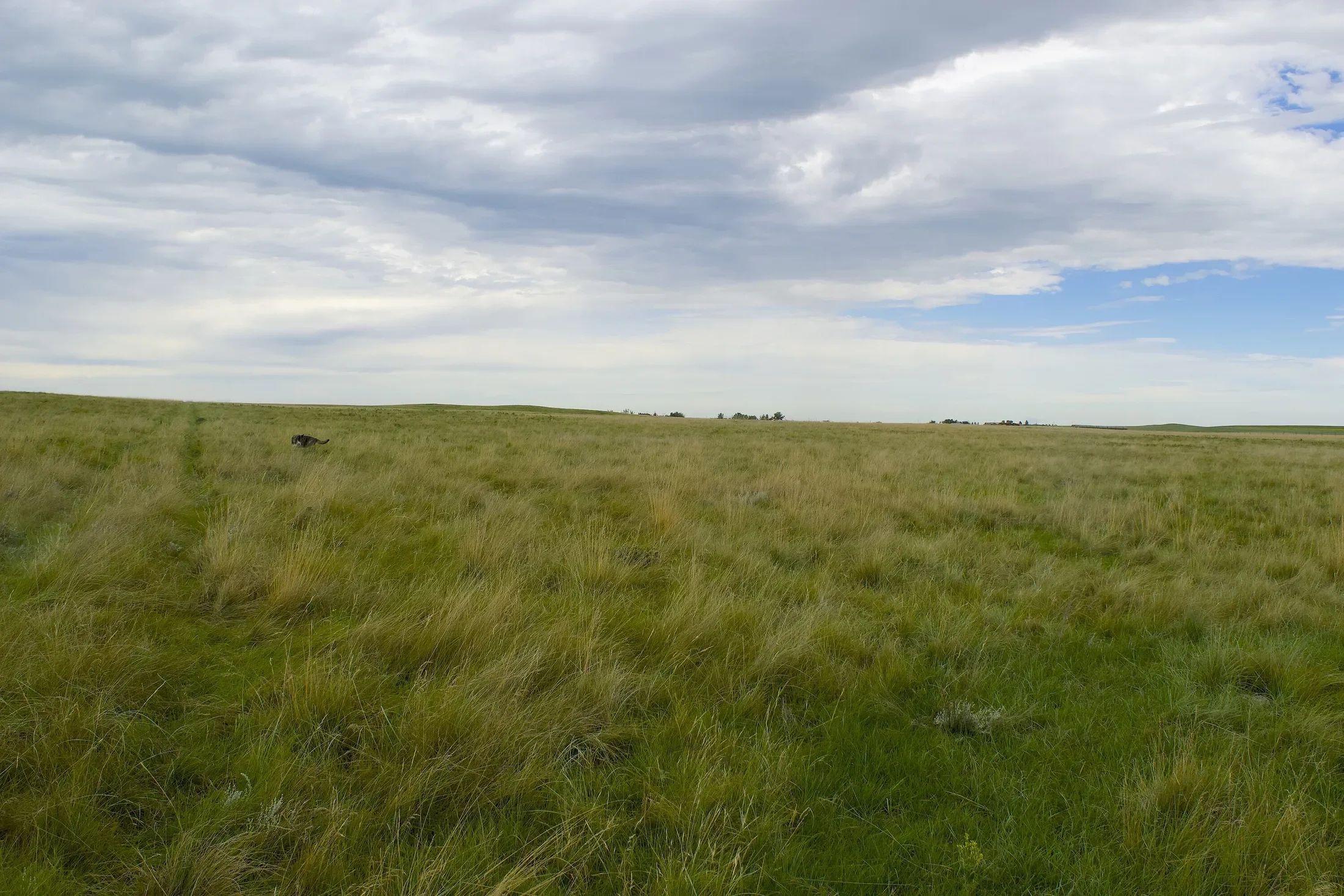 Gallery photo 9