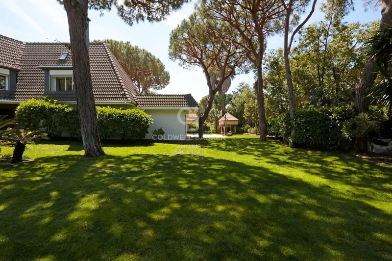 Baix llobregat, Gavà, BARCELONA, Gavà, Gava, Catalonia, Spain. - Photo 17