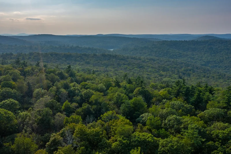 19 Roberts Rd, Sandisfield, MA 01255, Sandisfield, Massachusetts, United States. - Photo 77