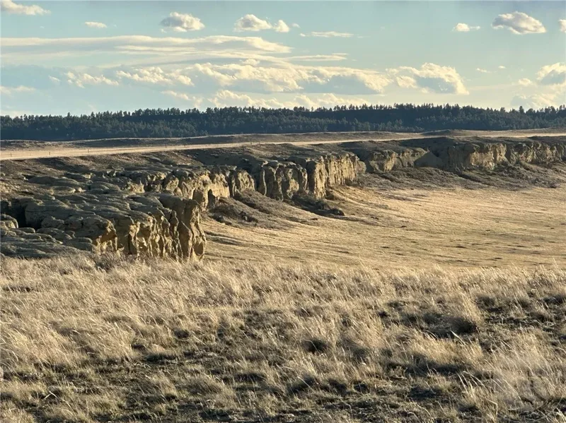 00 N Gage Road, Roundup, MT 59072, Roundup, Montana, United States. - Photo 15