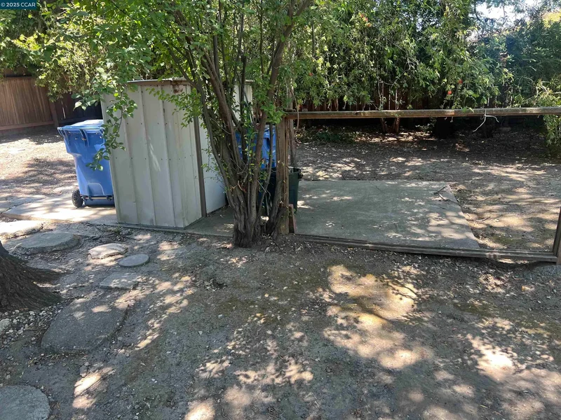 Walnut Creek, California, United States. - Photo 33