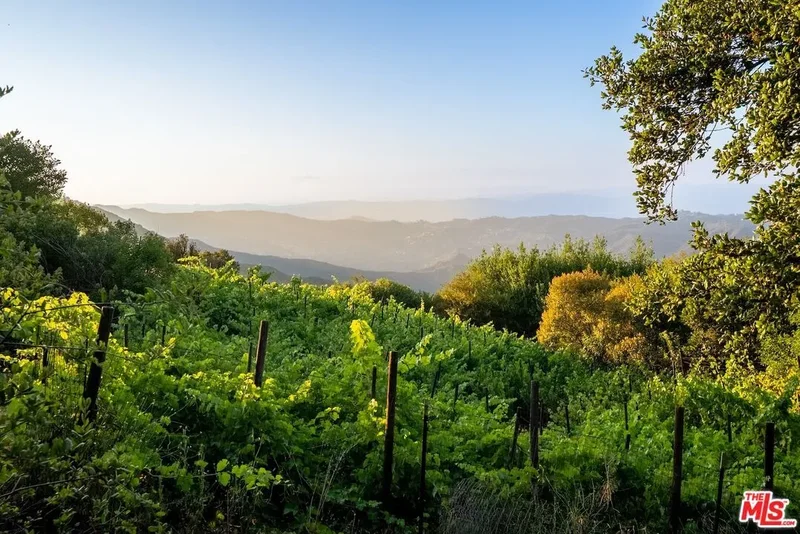 21965 Saddle Peak Rd, Topanga, CA 90290, Topanga, California, United States. - Photo 39