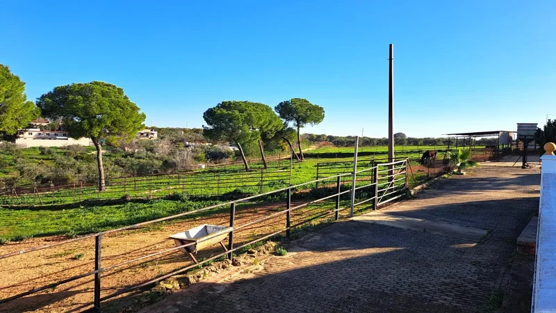 Sevilla, Mairena del Alcor, SEVILLA, Mairena del Alcor, Mairena del Alcor, Andalusia, Spain. - Photo 55