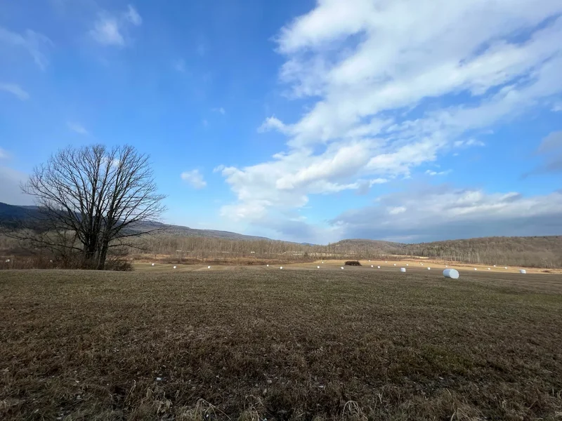 0 Rathbunville Lane , Fort Ann, NY 12827, Whitehall, New York, United States. - Photo 8