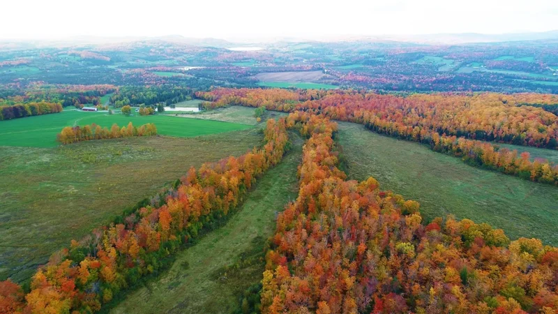 849 Mount Bess Road, Charleston, VT 05872, Morgan, Vermont, United States. - Photo 53