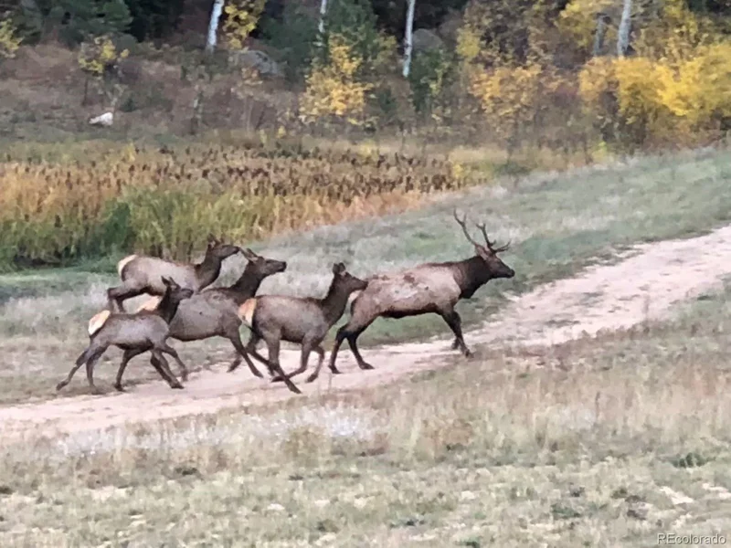 60 N County Highway 67, Sedalia, Colorado, United States. - Photo 38