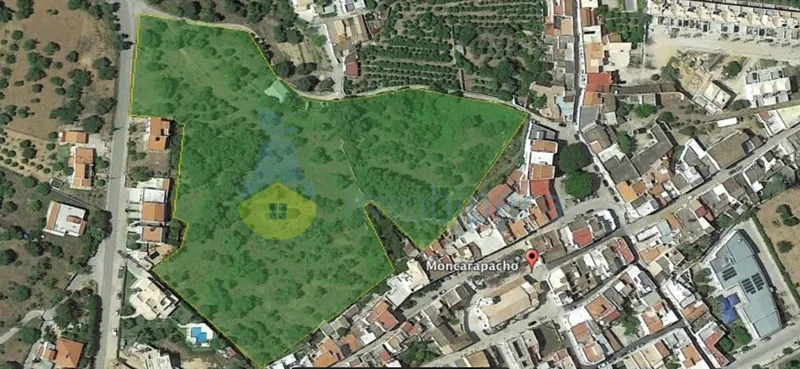 Moncarapacho, Algarve, Portugal. - Photo 5
