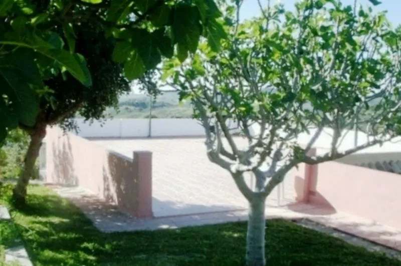 Entrerríos, Málaga, Mijas, Andalusia, Spain. - Photo 18