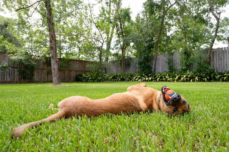 625 Piney Point Road, Houston, Texas, United States. - Photo 20
