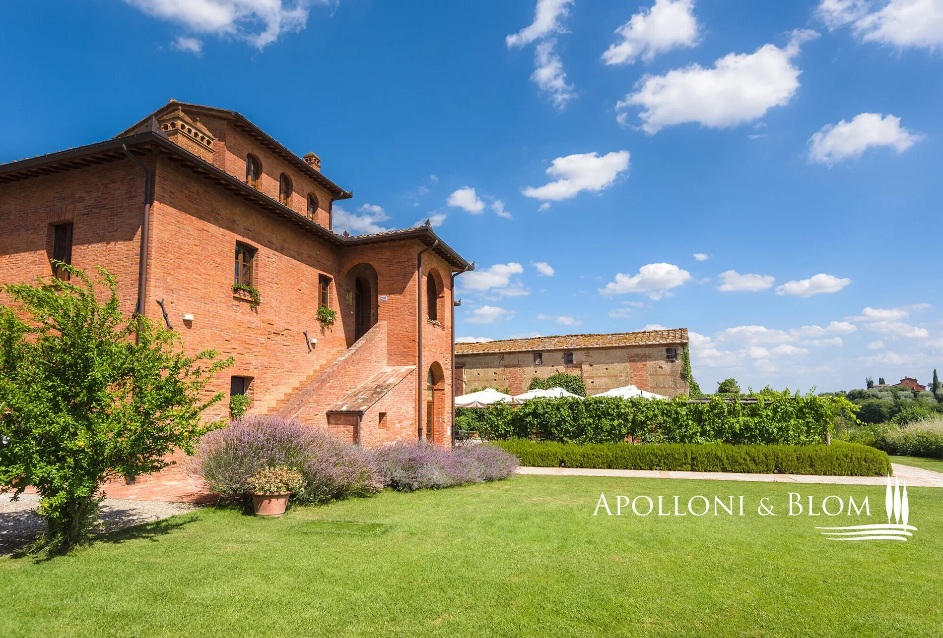 Sinalunga, Tuscany, Italy. - Photo 16