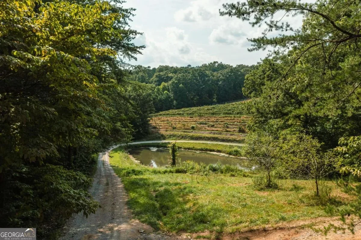 9975 BALL GROUND HWY, Ball Ground, Georgia, United States. - Photo 4