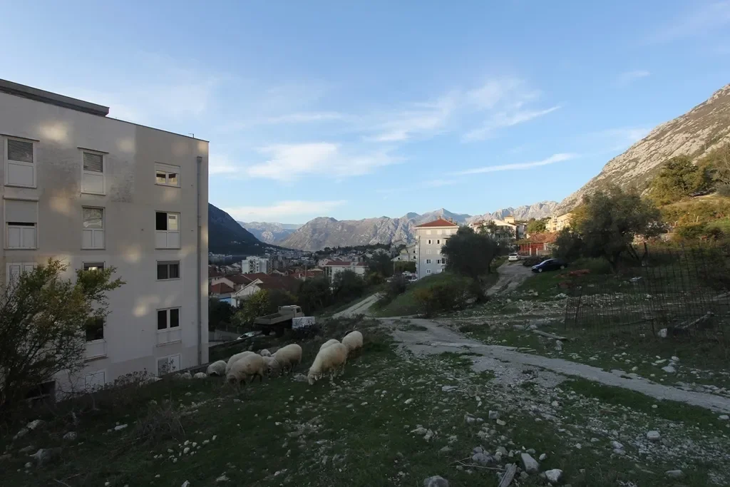 Kotor, Dobrota, Kotor Municipality, Montenegro. - Photo 10