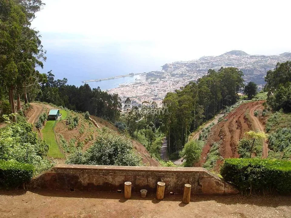 Funchal, Madeira, Funchal, Se, Madeira, Portugal. - Photo 18