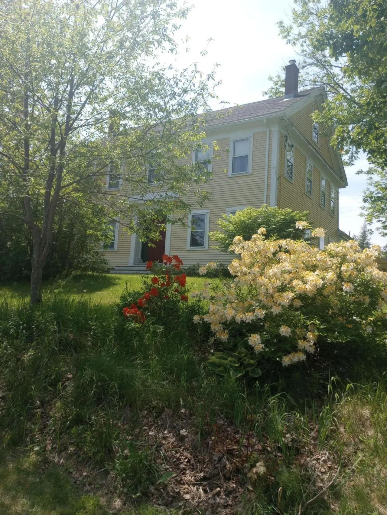 Property photo 7