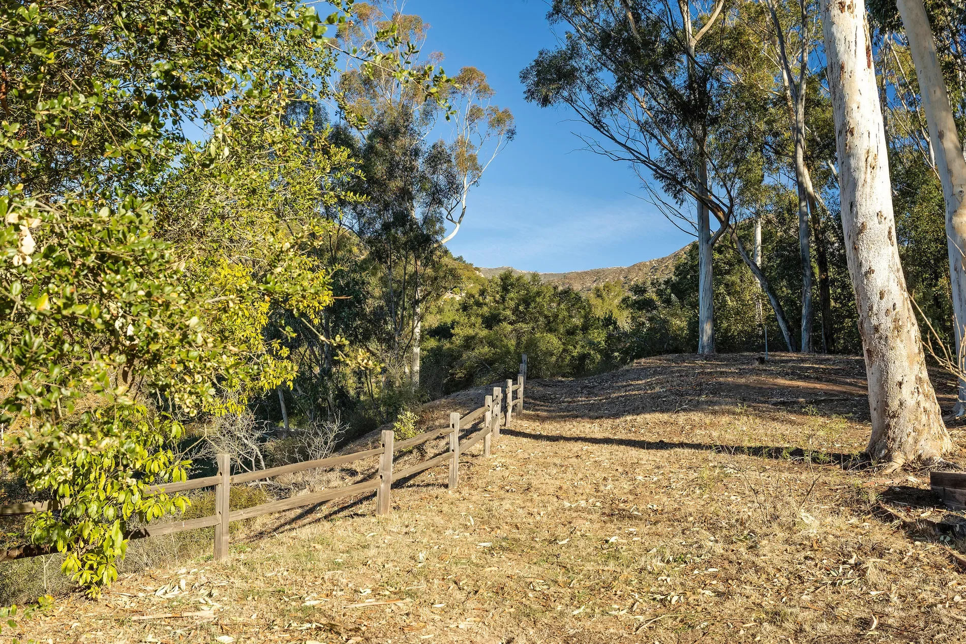 1030/1010 E Mountain Drive, Montecito, California, United States. - Photo 11