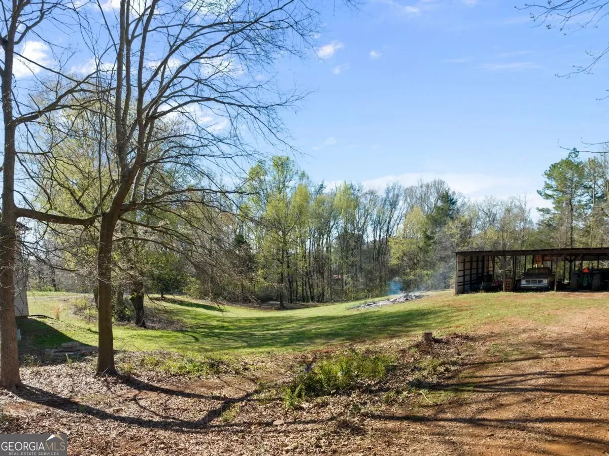 Carnesville, Georgia, United States. - Photo 37