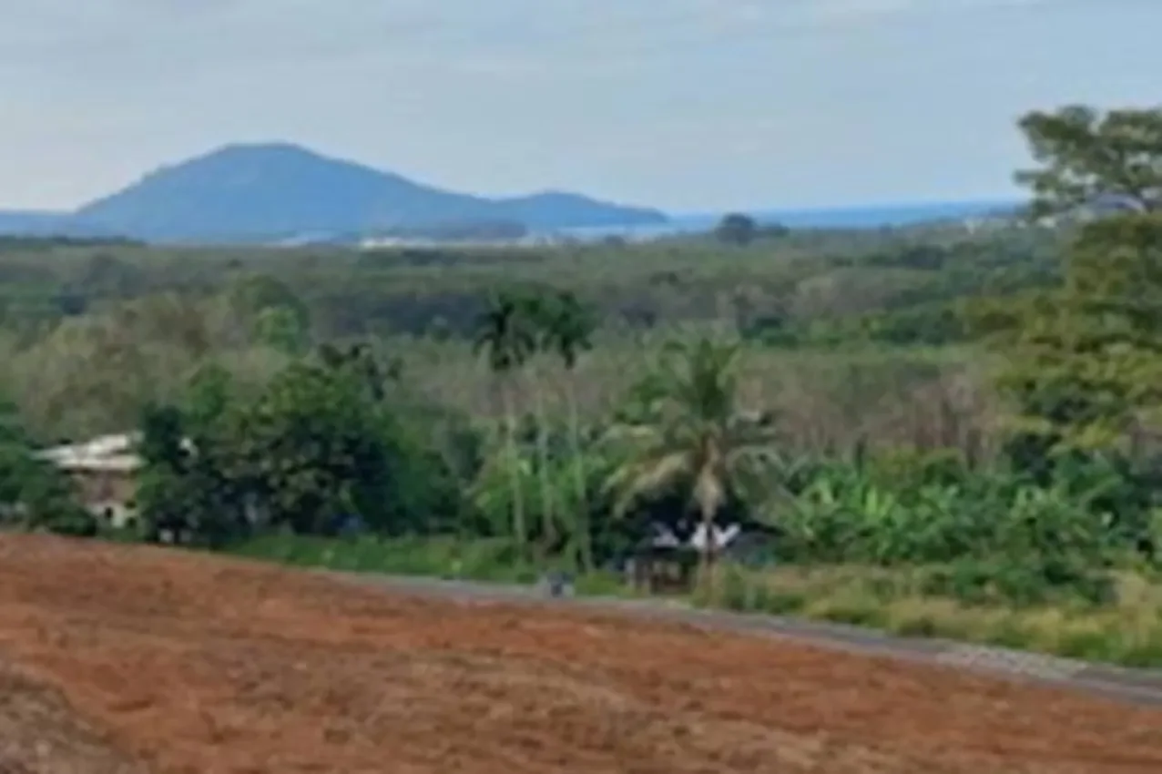 Phuket,, Mai Khao, Phuket, Thailand. - Photo 11