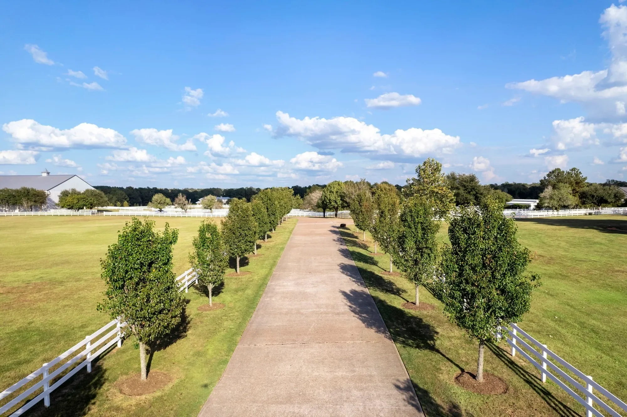 2250 Spring Branch Road, Montgomery, TX 77316, Montgomery, Texas, United States. - Photo 10
