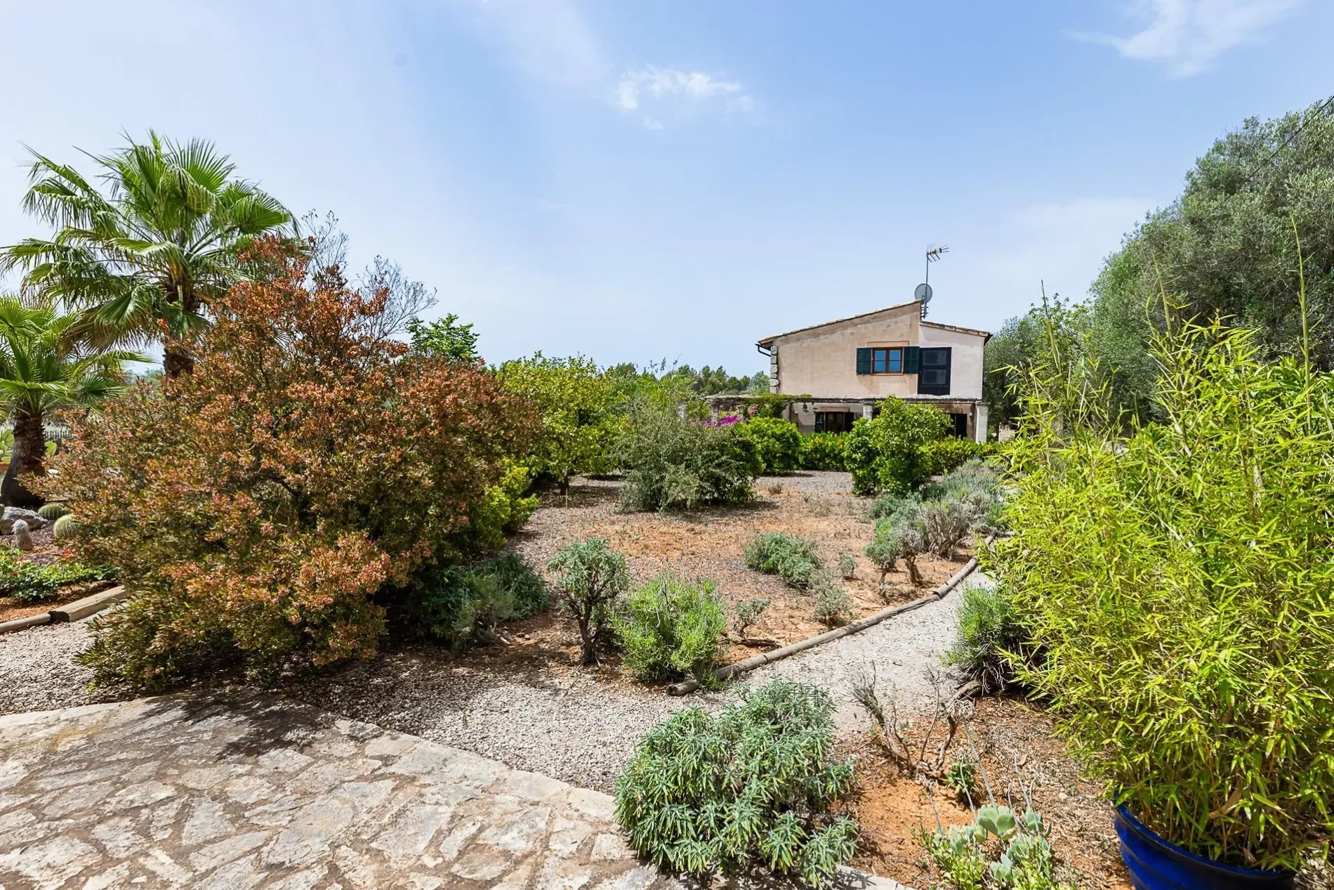 Sencelles, Sencelles, BALEARES, Sencelles, Sencelles, Balearic Islands, Spain. - Photo 15
