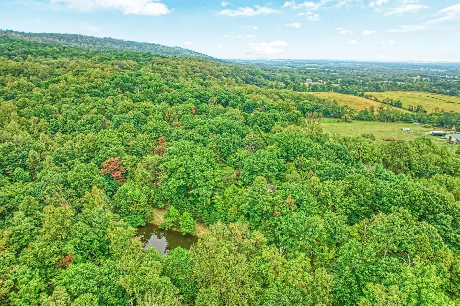 37740 Long Lane, Lovettsville, VA 20180, Lovettsville, Virginia, United States. - Photo 3