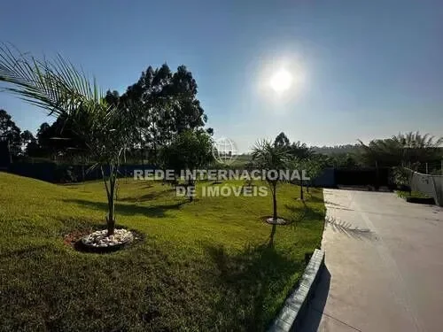 Brazil. - Photo 27