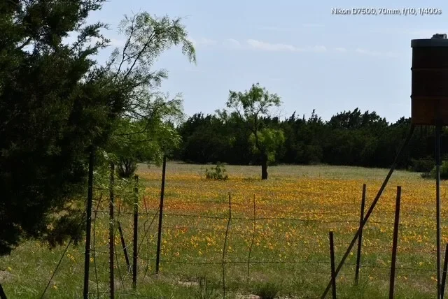TBD CR 382, Carlton, TX 76436, Dublin, Texas, United States. - Photo 26