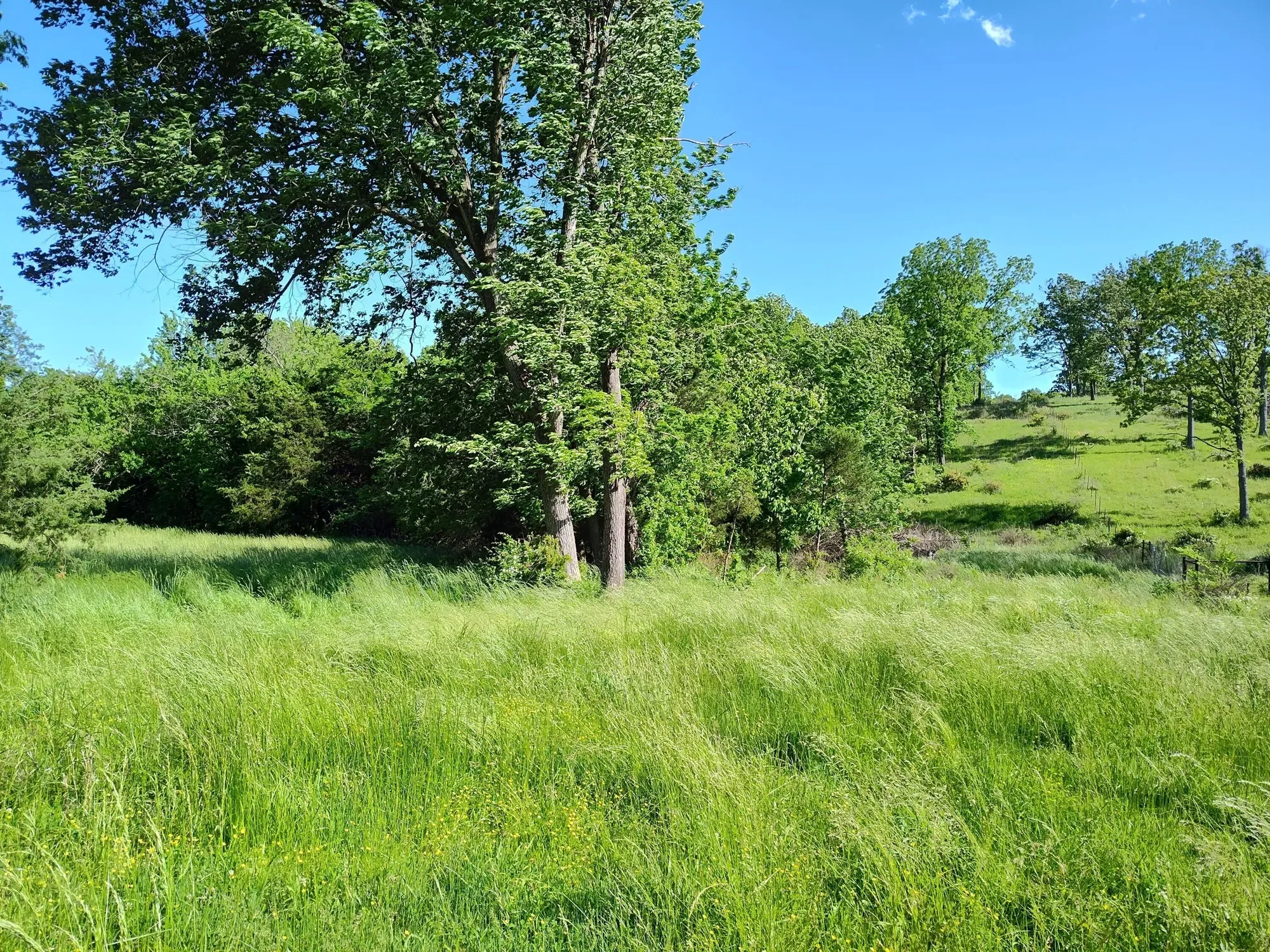 1898 E 332nd Road, Polk, MO 65727, Bolivar, Missouri, United States. - Photo 99