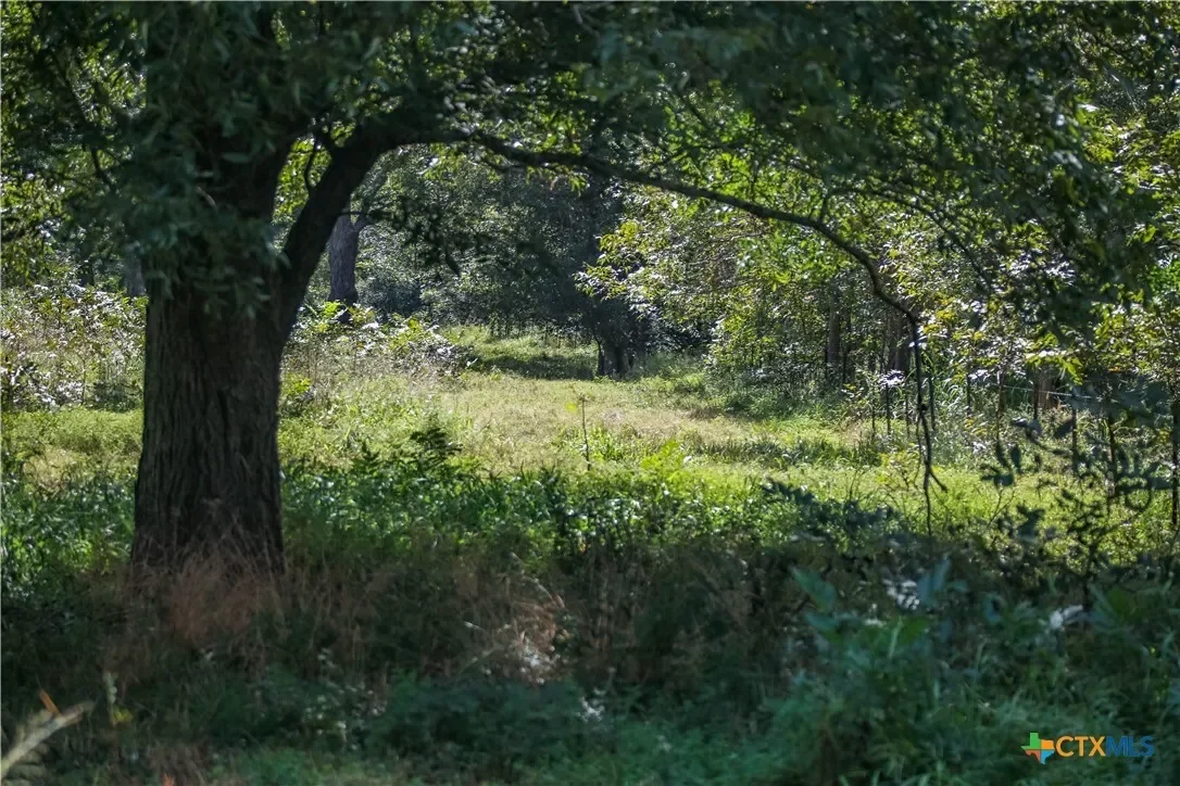 000 Fm 766, Cuero, TX 77954, Cuero, Texas, United States. - Photo 41