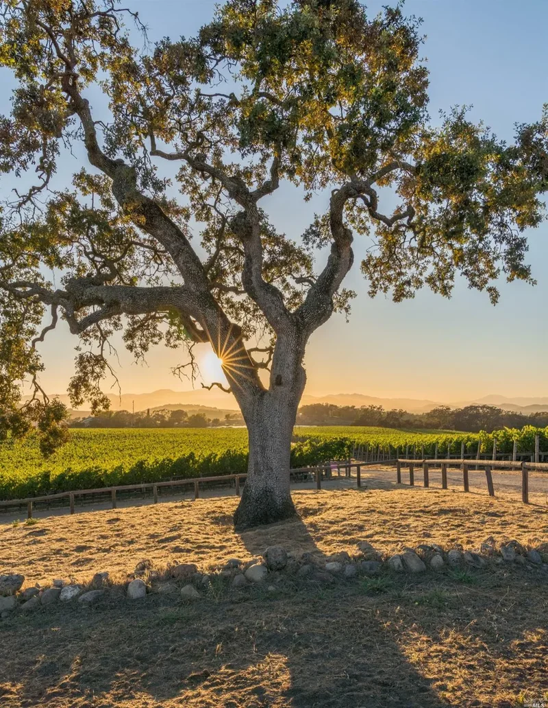 2181 3rd Avenue, Napa, CA 94558, Napa, California, United States. - Photo 70