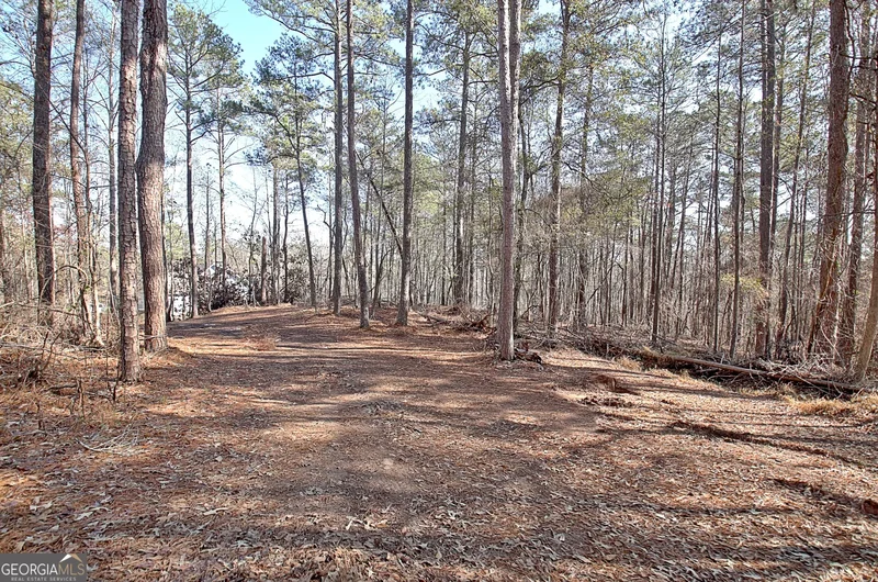 12 N Alexander Creek Road, Newnan, GA 30263, Newnan, Georgia, United States. - Photo 80