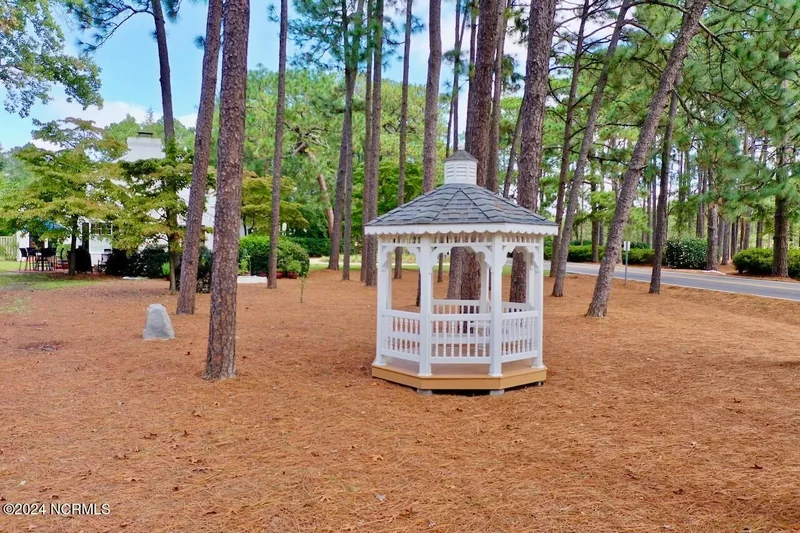 55 Palmetto Road, Pinehurst, North Carolina, United States. - Photo 47