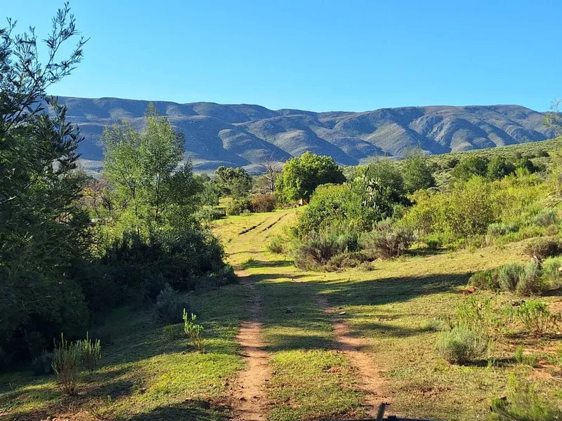 George, Western Cape, South Africa. - Photo 43