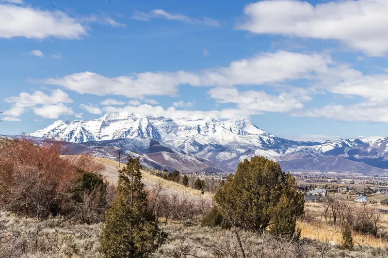 Unobstructed Panoramic Views On This Unmatched Estate Sized Homesite