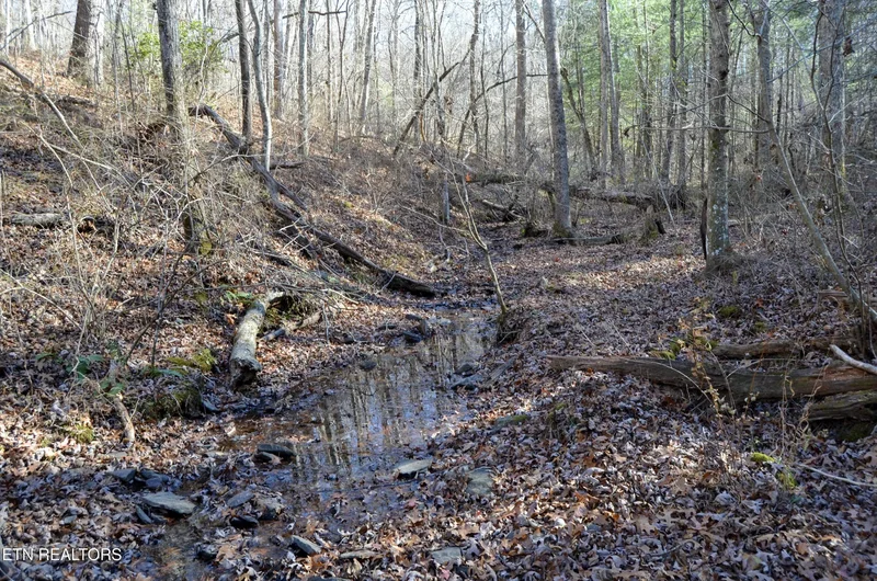 Sparta Hwy 63.3 Acres, Crossville, TN 38555, Crossville, Tennessee, United States. - Photo 28