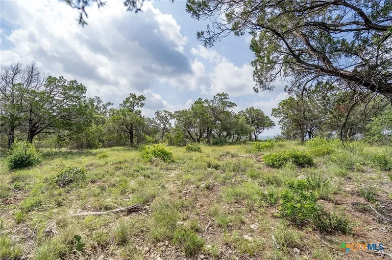 19705 Tyler Trail, Jonestown, TX 78645, Jonestown, Texas, United States. - Photo 28