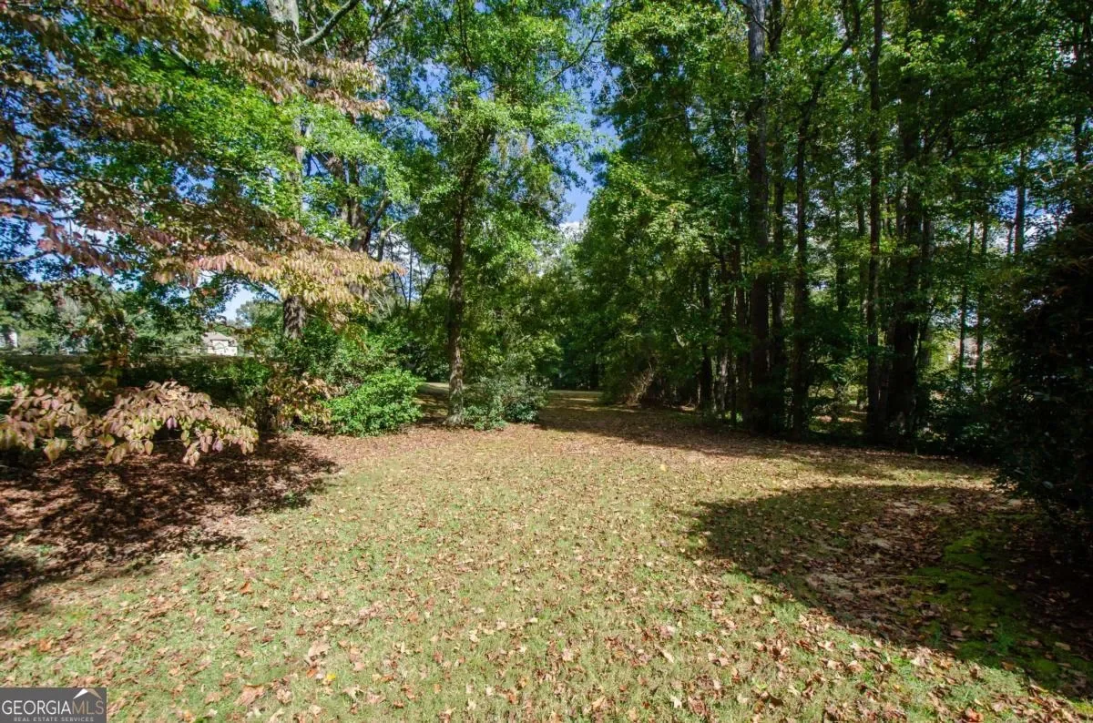 Lawrenceville, Georgia, United States. - Photo 44