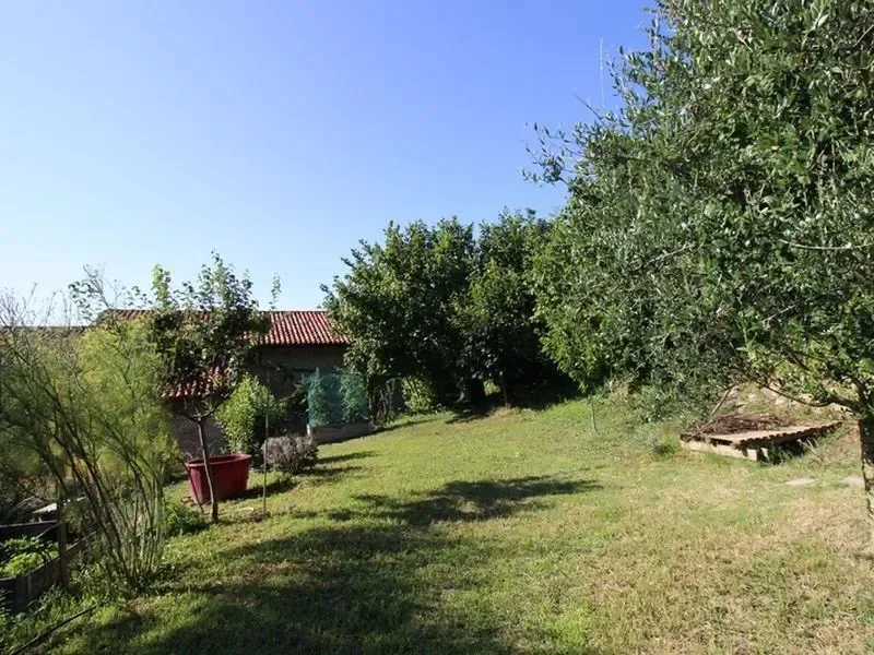 Exterior photo 7