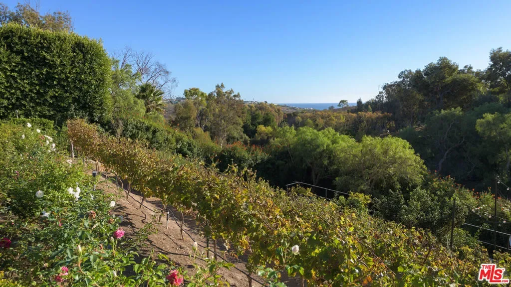 6110 Merritt Drive, Malibu, California, United States. - Photo 23
